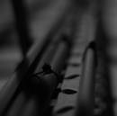 20d_220707_029.jpg