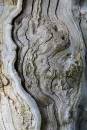 6BK0399_weathered_oak.jpg