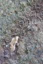 6BK1340_geological_time.jpg