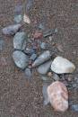 6BK1351_pebbles_on_a_beach_grange_woods.jpg