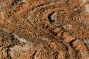 /gallery/data/509/thumbs/6BK2266_geomorph.jpg