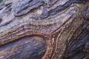 /gallery/data/509/thumbs/6BK5190_2_minute_macro.jpg