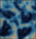 Blue_Vein.jpg