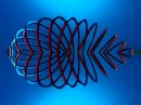 C_slinky_fish.jpg