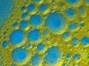 C_yellow_blue_bubbles_r.jpg