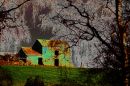 Crow_House_edited-3.jpg