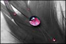DSC00087x.jpg