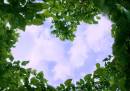 DSC01765.jpg