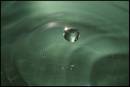 DSC04237.jpg