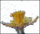 DSC04287ccxx.jpg