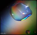DSC04896.jpg