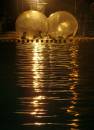 DSC04970b.jpg