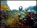 DSC07044x.jpg