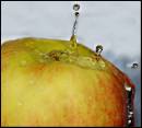 DSC07325nnb.jpg
