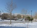 DSCN0110a.jpg