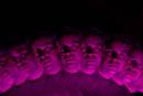 DSC_0060resize.jpg