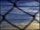 Fence_skyJweb.jpg