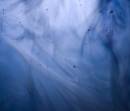 Fluid17_Original_800px.jpg