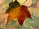 Fractalius_Autumn_2.jpg