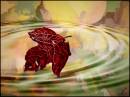 Fractalius_Autumn_3.jpg