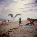 HOLGA-Fly-Like-a-Seagull.jpg