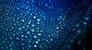 IMG_2368_umb_abstract_1_edited_Medium_.jpg