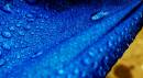 IMG_2369_umb_abstract_2_edited_Medium_.jpg