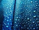 IMG_2375_umb_abstract_8_edited_Medium_.jpg