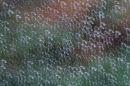 MG_1886_edited-1.jpg