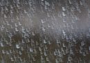 MG_1887_edited-1.jpg