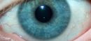 MG_2097_edited-1.jpg