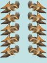 Pattern-small.jpg
