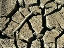 Pejar_drought_May05.JPG
