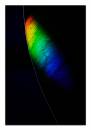 Rainbowleaf02.jpg