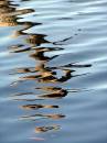 Ripples_1_22-4-07.JPG