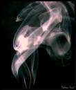 Smoke2.jpg