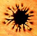 Sunspot_10-800px.jpg
