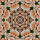 ToadstoolKaleidoscope.jpg