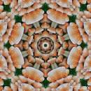 ToadstoolKaleidoscope.jpg