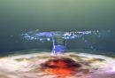 Water_Flash.jpg