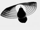 b_w_shadow_2_resize.jpg