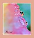bubbleAbstract.jpg