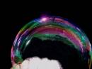 catch_a_rainbow_2.jpg
