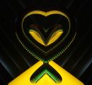 crop_yellow_green_r.jpg