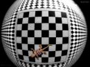 day_262_across_the_board.jpg
