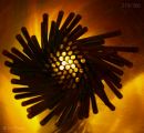 day_279_golden_swirl_r.jpg