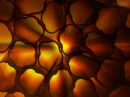day_318_canneloni_blur_r.jpg