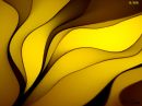 day_8_abstract_yellow_resize.jpg