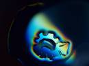 embryo_resize.jpg