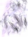 feathered.jpg